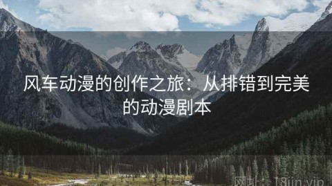 风车动漫的创作之旅：从排错到完美的动漫剧本