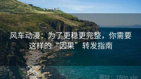 风车动漫：为了更稳更完整，你需要这样的“因果”转发指南