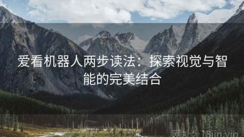 爱看机器人两步读法：探索视觉与智能的完美结合