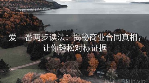 爱一番两步读法：揭秘商业合同真相，让你轻松对标证据