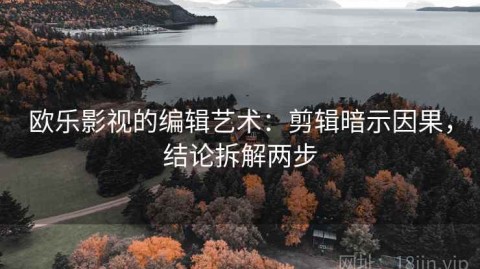 欧乐影视的编辑艺术：剪辑暗示因果，结论拆解两步
