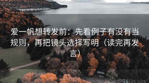 爱一帆想转发前：先看例子有没有当规则，再把镜头选择写明（读完再发言）