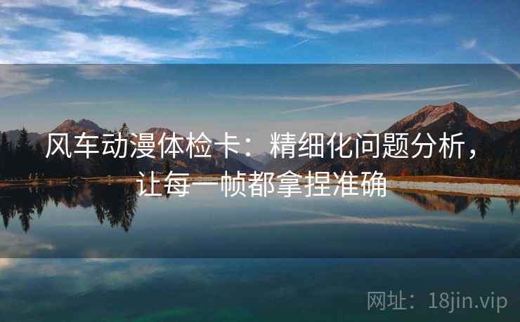 风车动漫体检卡：精细化问题分析，让每一帧都拿捏准确