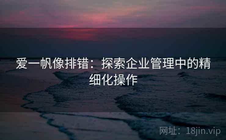 爱一帆像排错：探索企业管理中的精细化操作