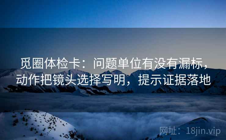 觅圈体检卡：问题单位有没有漏标，动作把镜头选择写明，提示证据落地