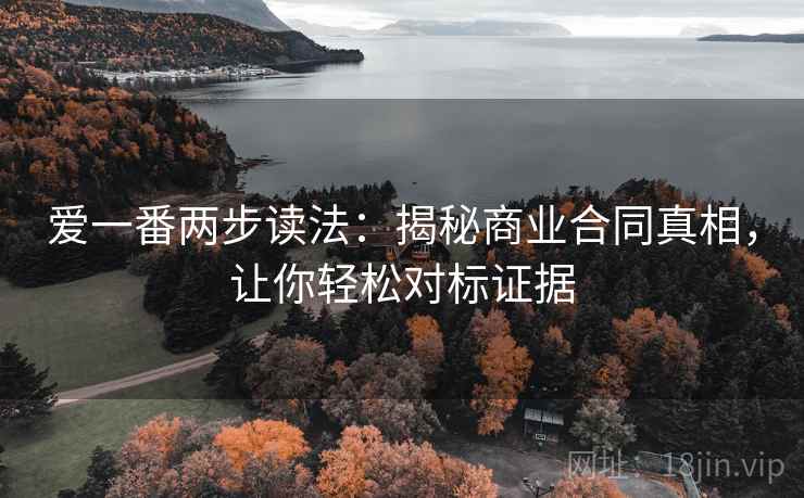 爱一番两步读法：揭秘商业合同真相，让你轻松对标证据