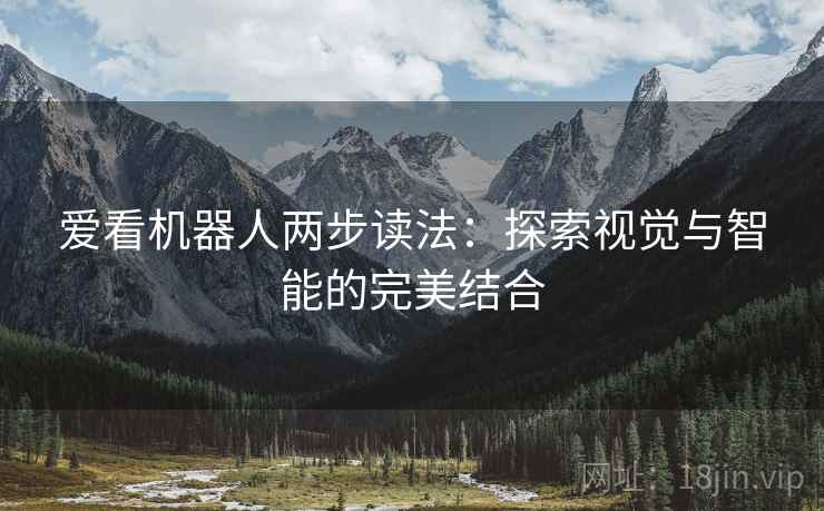 爱看机器人两步读法：探索视觉与智能的完美结合