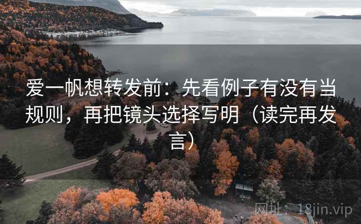 爱一帆想转发前：先看例子有没有当规则，再把镜头选择写明（读完再发言）
